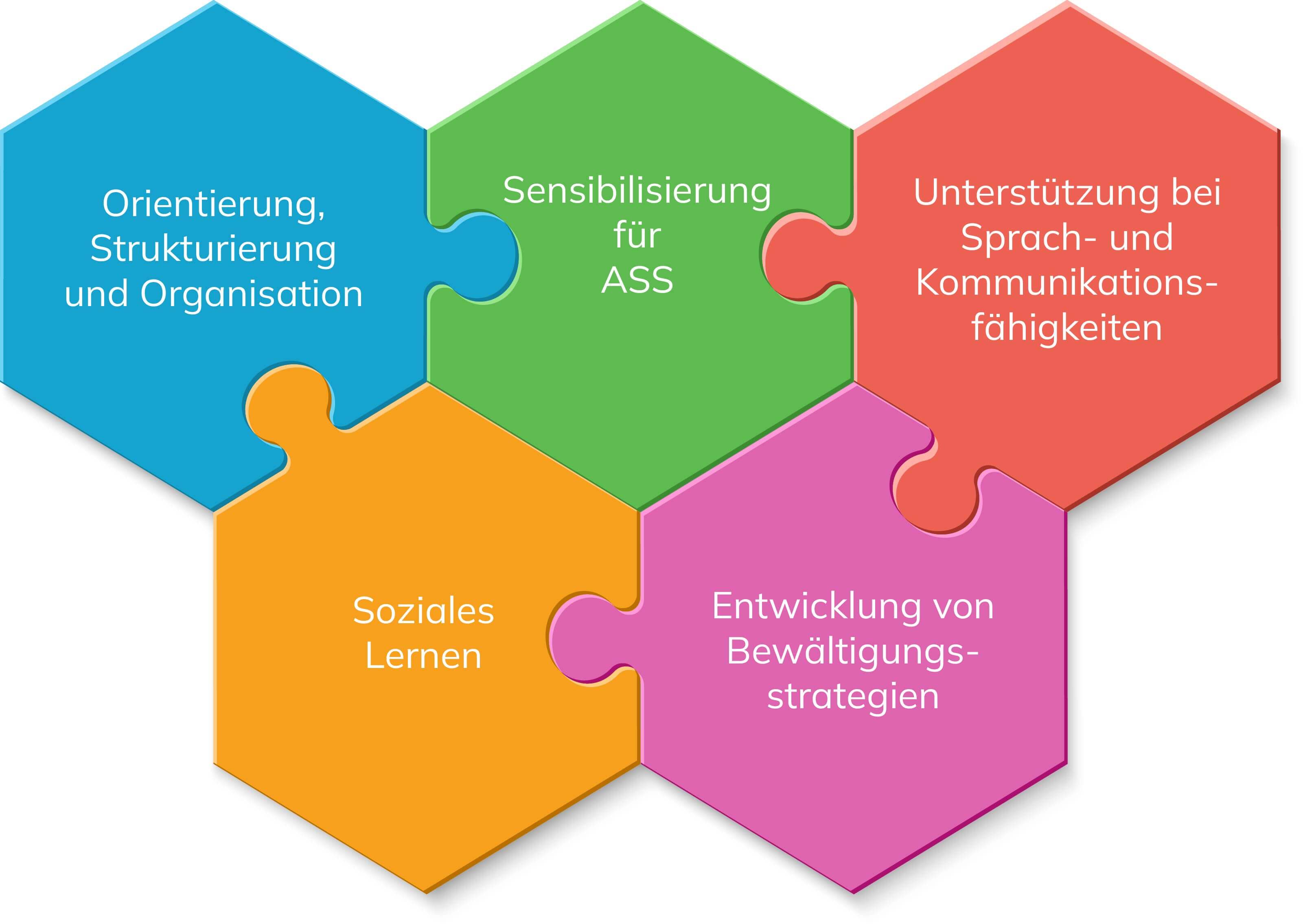 Grafik zeigt Bereiche der Kindergarten Assistenz